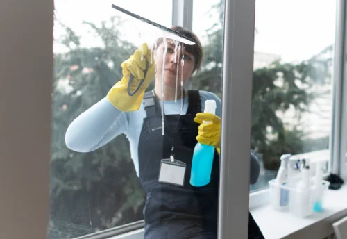 Nettoyage de vitres intérieures et extérieures à Sainte-Radégonde-des-Noyers